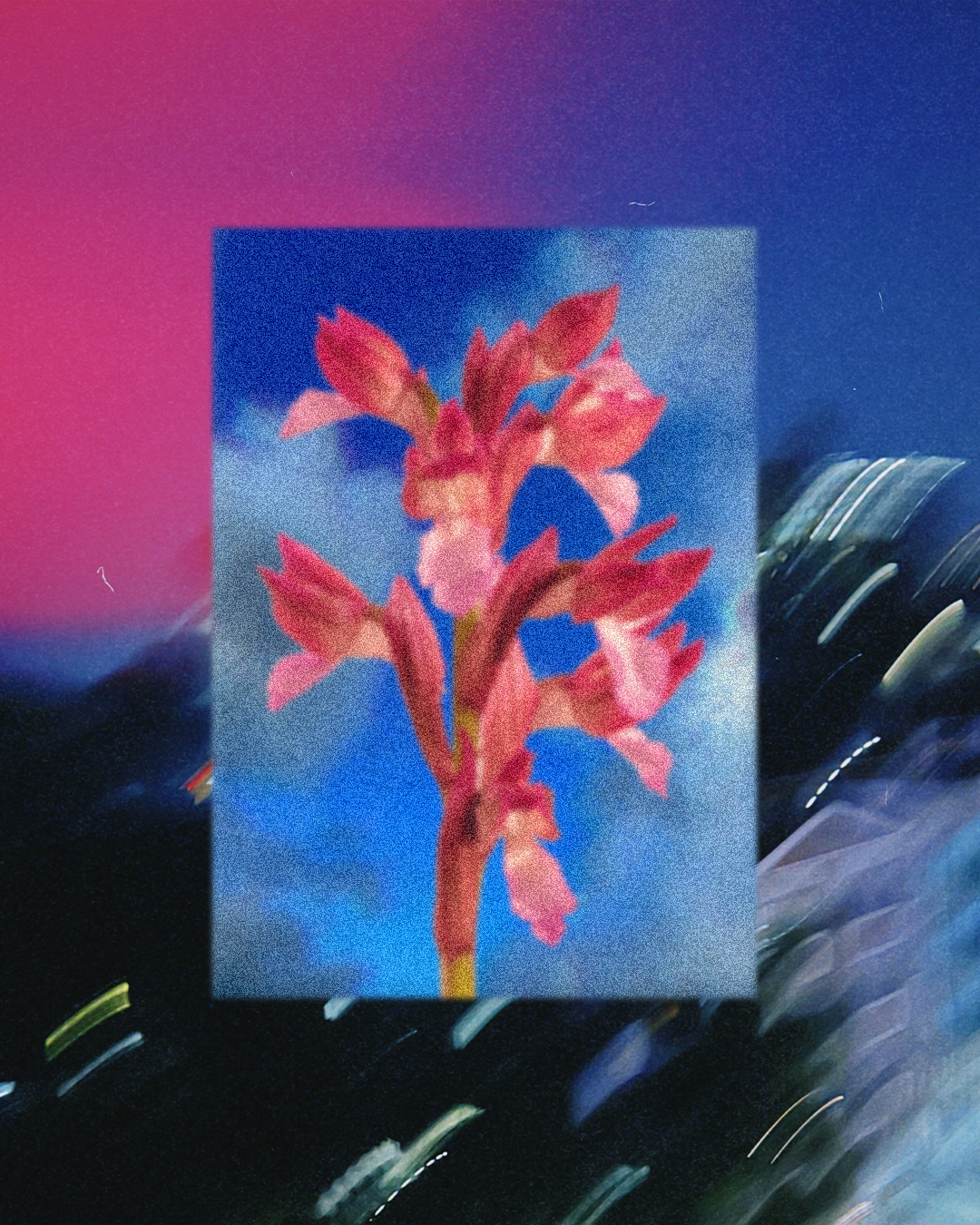 [a6 mini] sky orchid